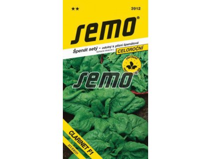 Szpinak klarnetowy F1