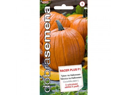 Dynia wielkoowocowa - Racer plus halloween
