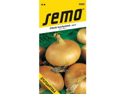 STUTGARTSKA Cibule obecna