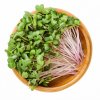 Zestaw Microgreens 2+2 Cukinia