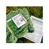8027 2 typhlodromus pyri dravy roztoc 25 pasku