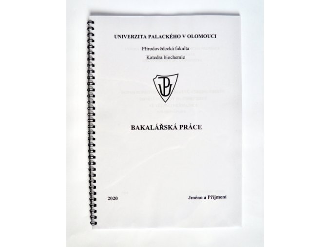 Tisk + kovová kroužková vazba