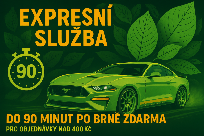 Brno 90 min express