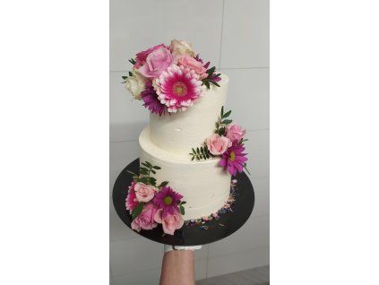 3e1d491d 27d3 4981 bdcd be44cb9930ca