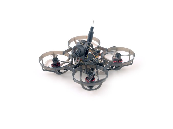 Mobula6 2024