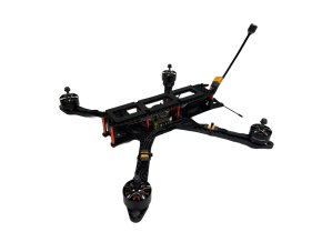 Adobe Express file (1)