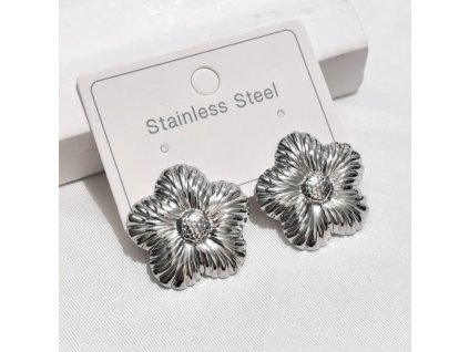 Ocelové naušnice č.2