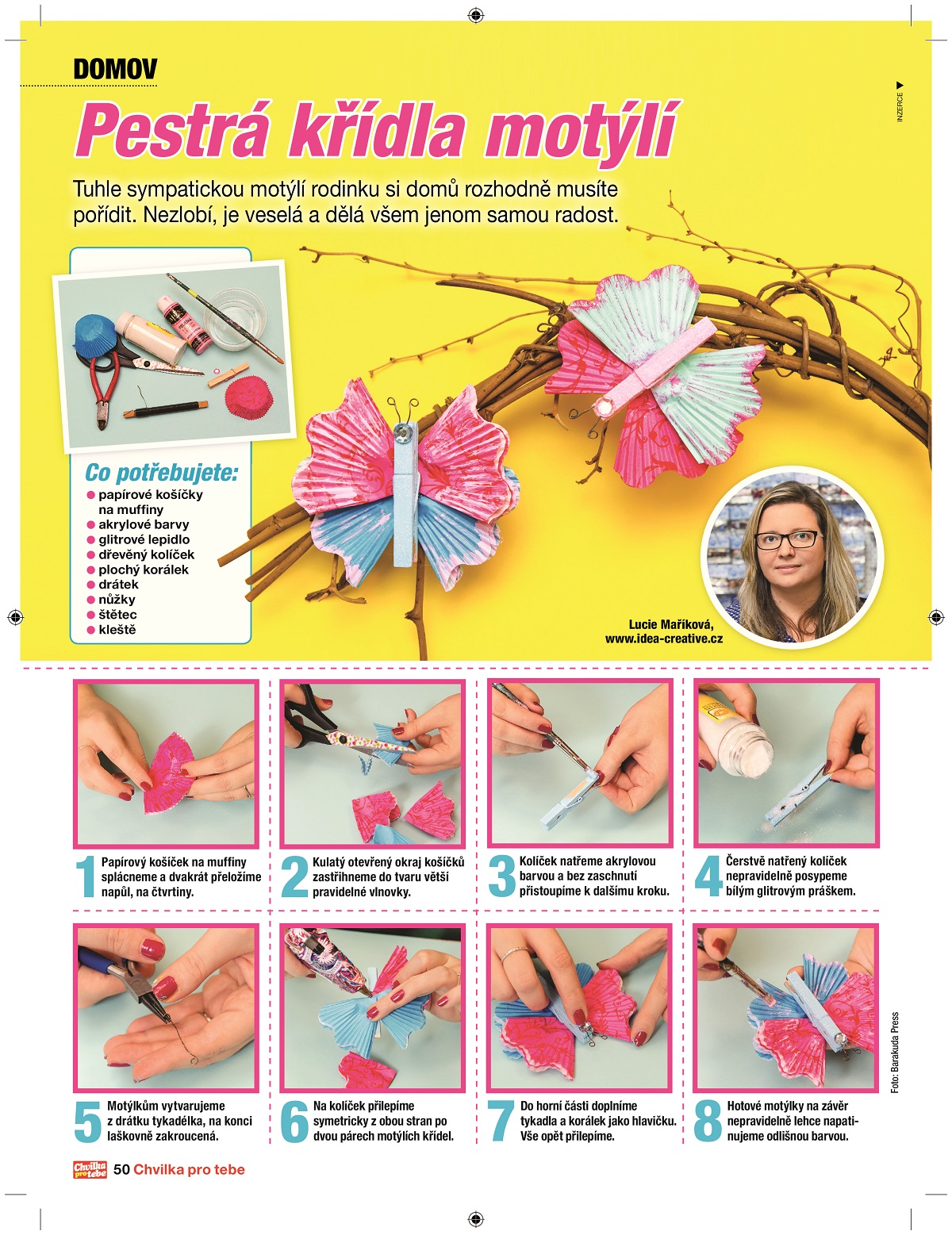 Pestrá křídla motýlí