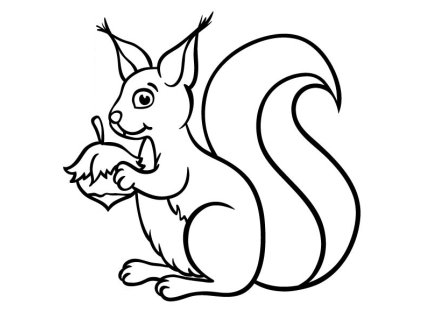 Obrázek