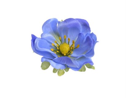 kvet anemon 4ks modry