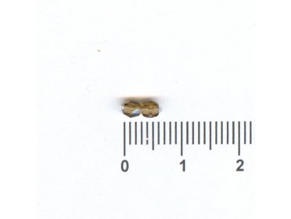 Broušené kuličky 03x03 10210