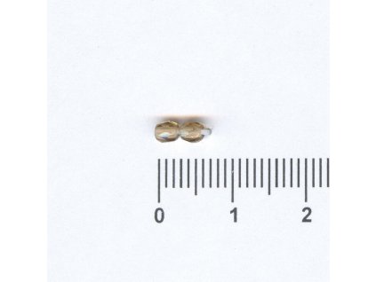 Broušené kuličky 03x03 10220