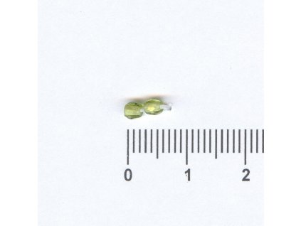 Broušené kuličky 03x03 50200