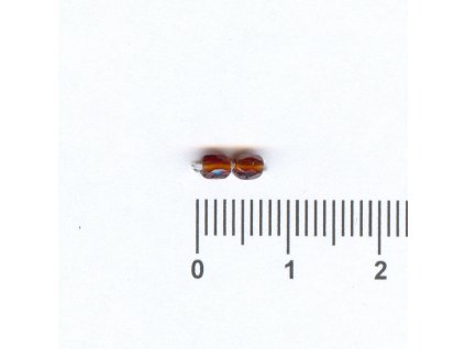 Broušené kuličky 03x03 90110