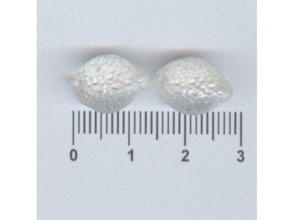 Mačkané citróny 14x10 00030/21405