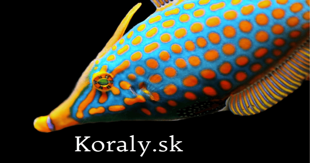 test1
