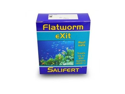 1137 salifert flatworm exit
