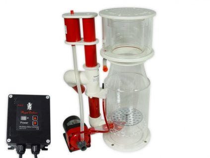 12654 bubble king deluxe 200 internal rd3 speedy