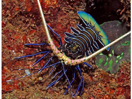 b3e97ff323690daf7c8d08e9fd318105