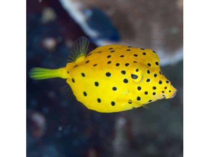 f2c366ecd5d97c431e5f9f6e59eb13fd 1024x