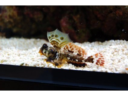 9d79ec891d1242073d60e9d9114da5df