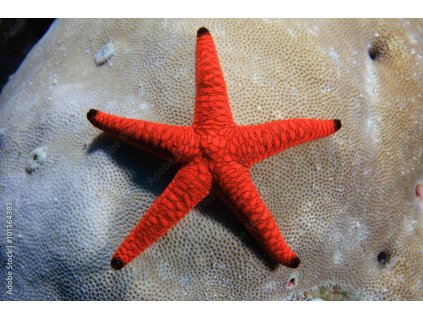 1000 F 101364383 63D2a0Sbpqpx74hIZ0iXVZzYLRvax8su