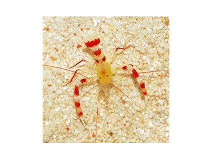 dffa6f9d9bb1de42c41a655147b448c6