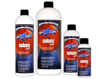 atm colony 237atm colony 237