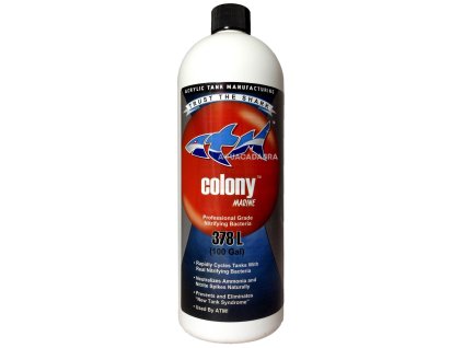atm colony marine 946mlatm colony marine 946ml