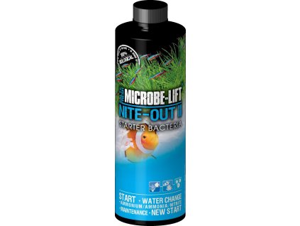 ml nite out 118 mlml nite out 118 ml