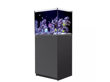 r42111g2p eurr42111g2p eur