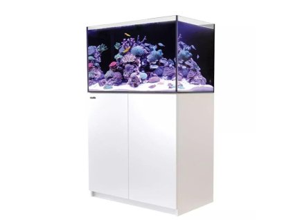 r42122g2p eur42122g2p eu