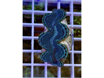 578259980 827344236720507 924525473827172514 n