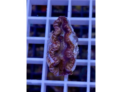 579329017 827344093387188 9081762845660749408 n