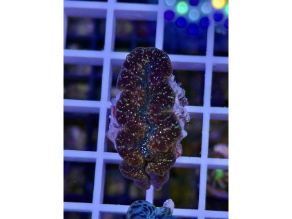 578277738 827344070053857 8810239451147368446 n