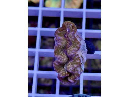 578716721 827344160053848 1624478902710268554 n