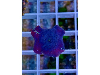 583203280 833648972756700 1832035181527608665 n