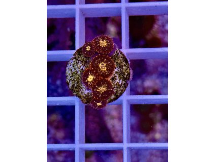 584010021 833649582756639 2586391501929218727 n