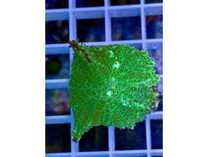 585364379 833648152756782 5698511149460952152 n