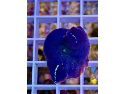 585034818 833649399423324 5770307314833609453 n