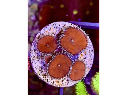 584291927 833648369423427 8385006534794999406 n