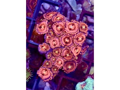 582142926 833648272756770 8321479081550677592 n