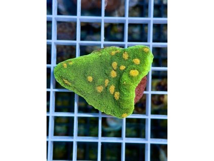 584065317 833648799423384 7959442345660716863 n