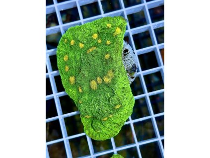 584066659 833648312756766 6423395598650063993 n