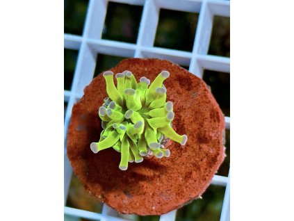 584753147 833649619423302 2457073912775840145 n