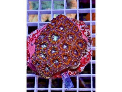 583706438 833648706090060 5459363310374702809 n