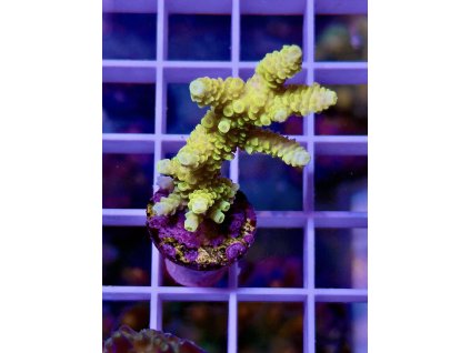 587408569 839221175532813 8776308002753064265 n