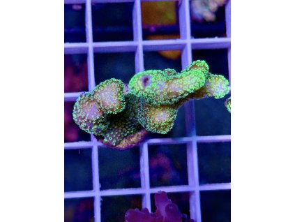 588227481 839220322199565 1447644458410235083 n