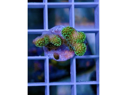 588405189 839221192199478 1386243848504744948 n