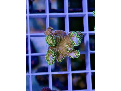 587845137 839221662199431 4244859130177236402 n